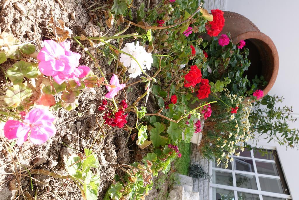 Limonlu Ev Ardic Hotel Alaçatı Luaran gambar
